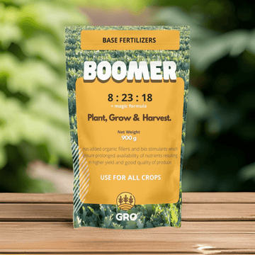 BOOMER Base Fertiliser For Home Gardening Granules - Apnaugao