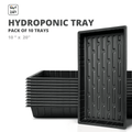 Easy to grow hydroponic trays for home gardening