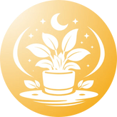 Potted plant with 'Low Light Plants' text on a blue background with stars and moon.