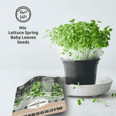 Potted plant with 'Urban Garden' seed packet on a light background