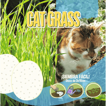 Cat Grass Seeds Disc - Apnaugao