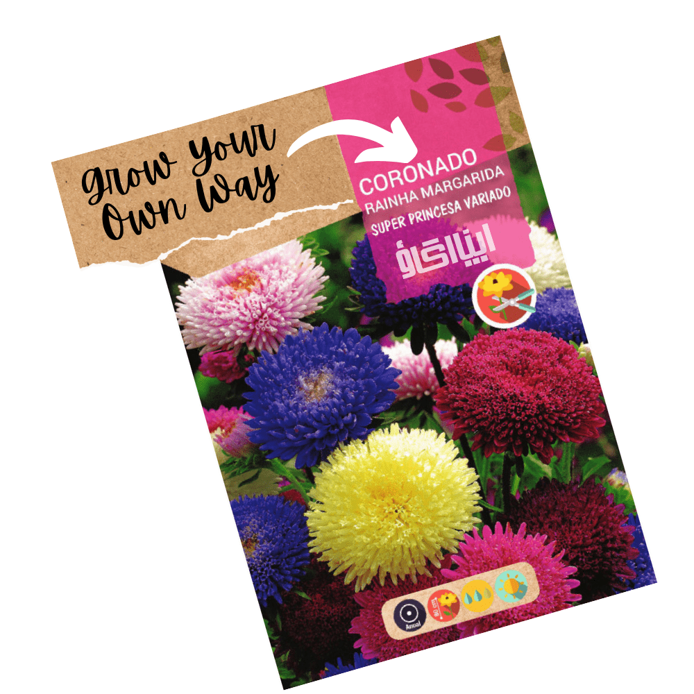 China Aster Super Princess Hybrid Mix Flower Seeds - Apnaugao