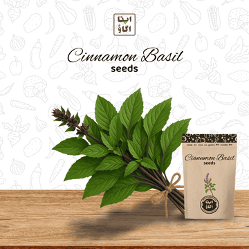 cinamon basil seeds for home gardening