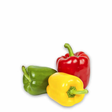 Mix Bell Pepper Seeds – Colorful Sweet Peppers