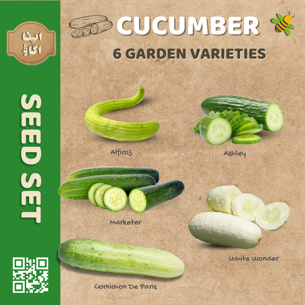 Heirloom Cucumber Seeds Set