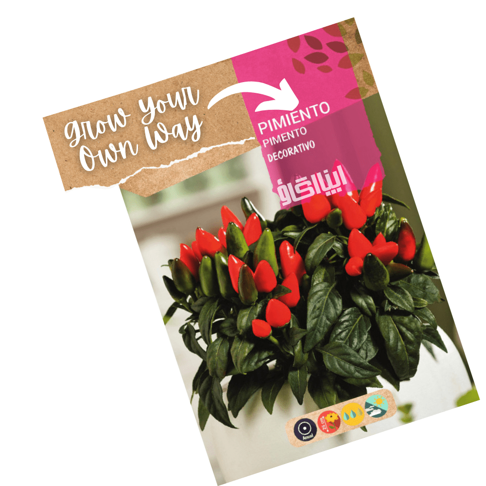 Ornamental Pepper Seeds - Apnaugao