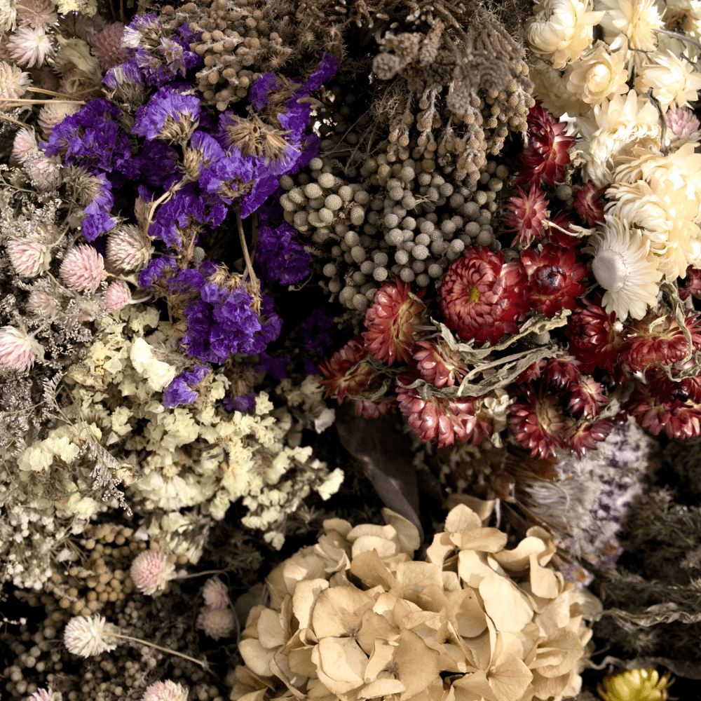 Mixed Flowers Seeds for Dry Bouquets - Apnaugao