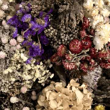 Mixed Flowers Seeds for Dry Bouquets - Apnaugao