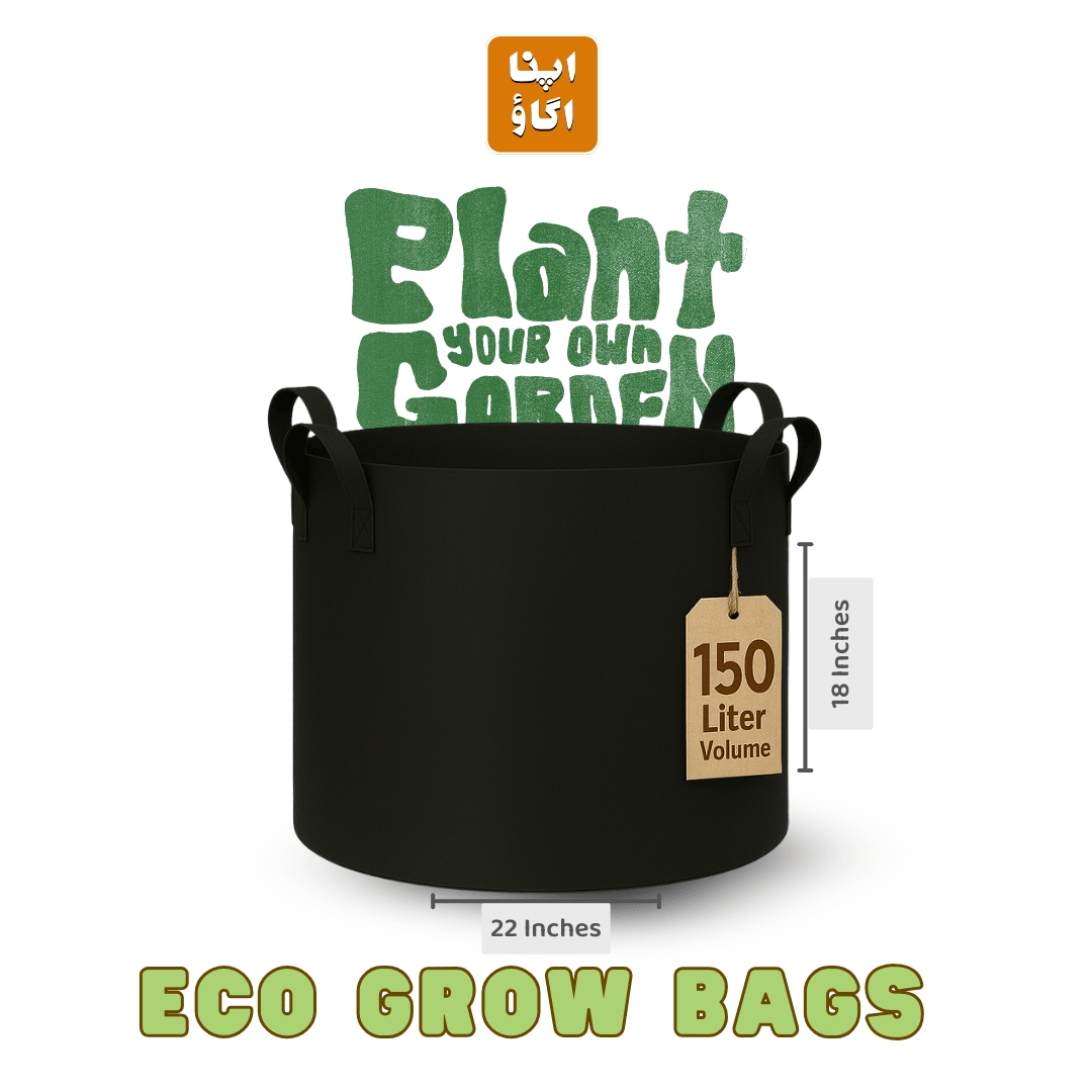40 Gallons non woven growbags in bulk dela by apnaugao