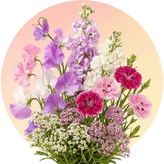 Fragrant flower seeds in Pakistan