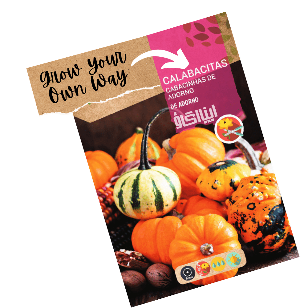 ORNAMENTAL MINIATURE PUMPKINS, MIXED Seeds - Apnaugao