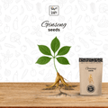 ginseng herbs seeds for home gardening