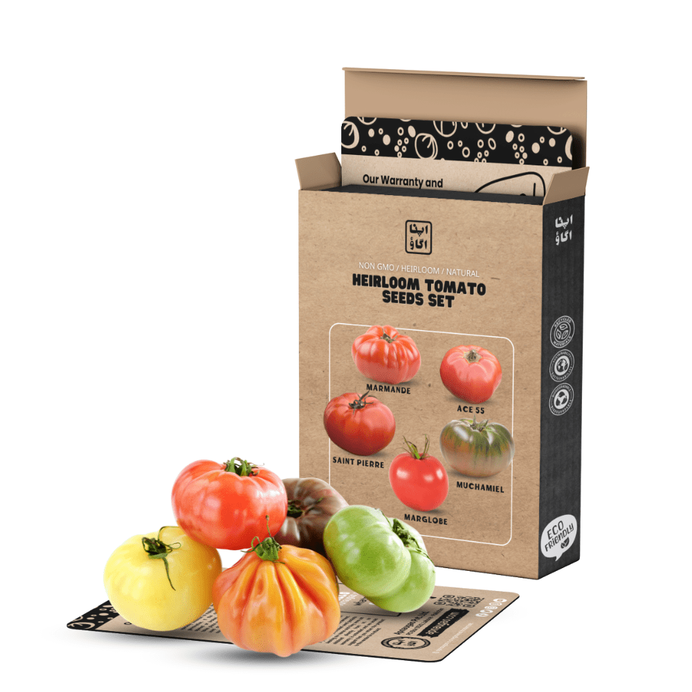 Tomatoes Seed Sets - Apnaugao