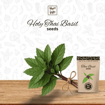 holy thai basil seeds in pakistan