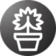 pot plants with self watering pots buy online