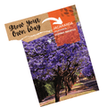 Jacaranda Tree Seeds - Jacaranda mimosifolia - Apnaugao