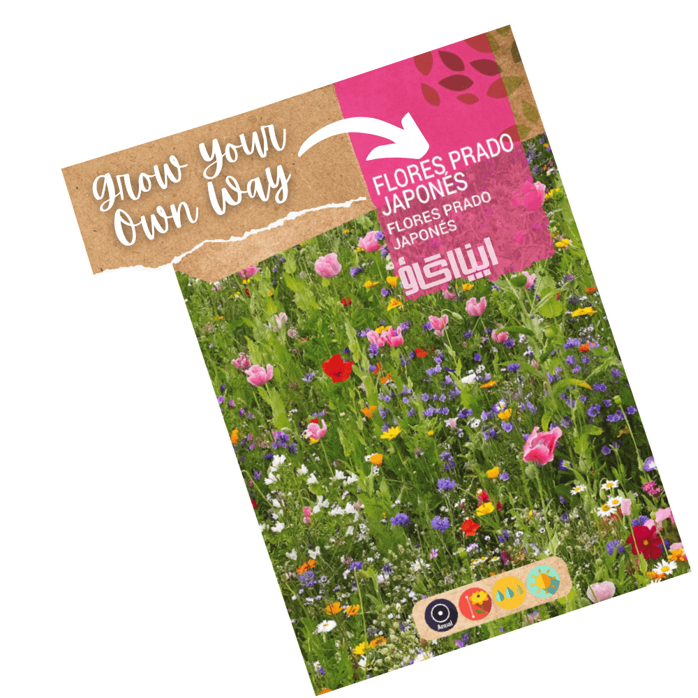 Japenese Rock Garden Mix Flower Seeds - Apnaugao