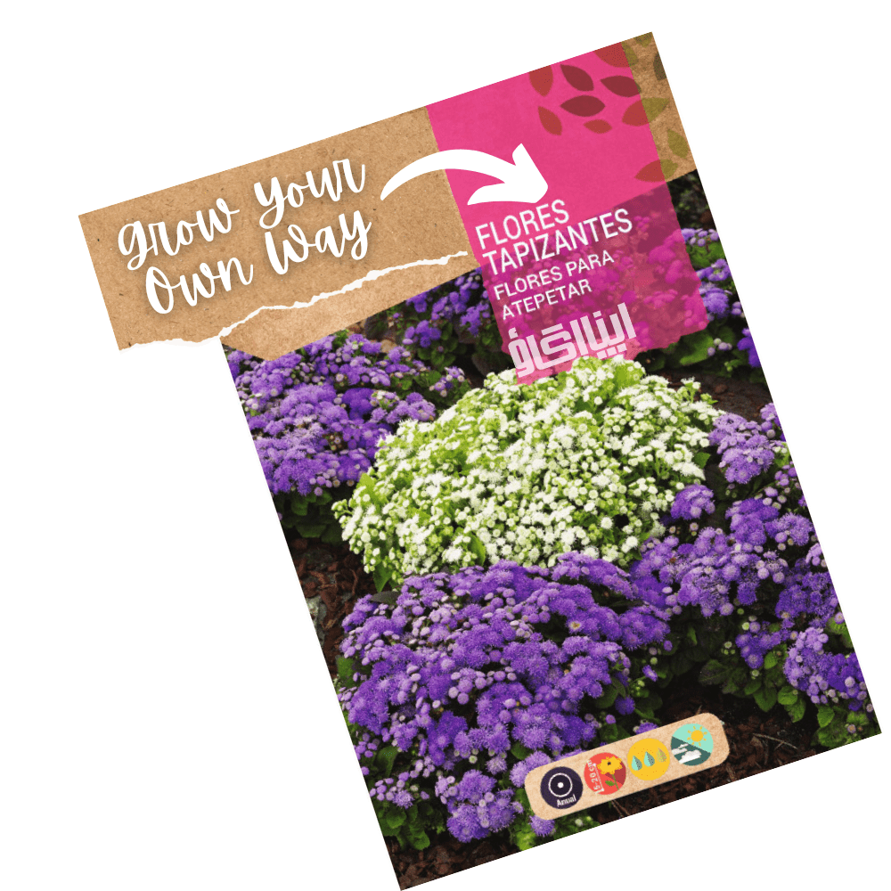 Tapestry Carpet Flowers Seeds - Apnaugao