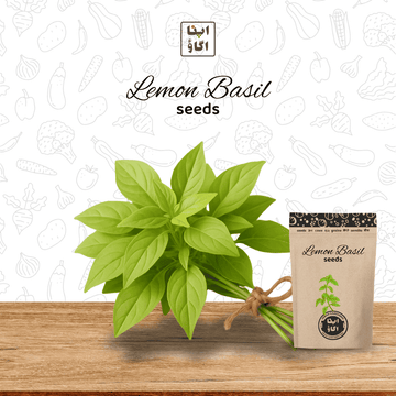 Lemon Basil herbs seeds for home gardening