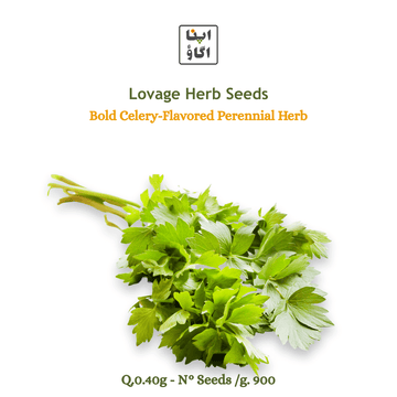 lovage_seeds for home gardening