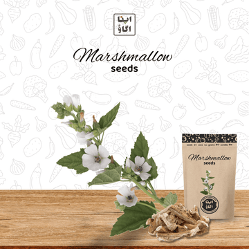 Marshmallow seeds for home gardening