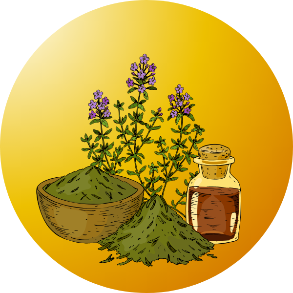 best medicinal_herbs_seeds for home gardening