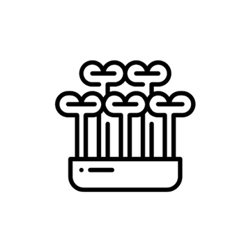 microgreens seeds one stop source apnaugao lahore pakistan