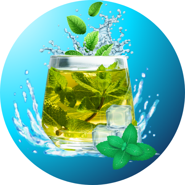 buy mint seeds in Lahore
