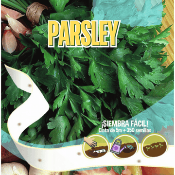 Parsley seed tape – pre-spaced seeds on biodegradable strip for easy home gardening