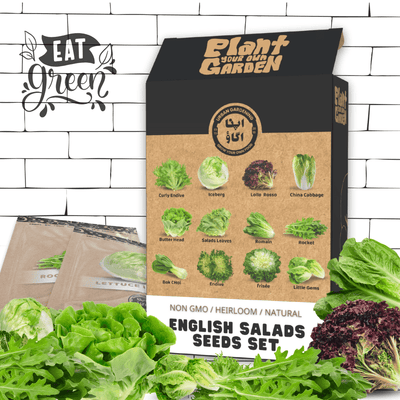 English Salads Gardening Kit GREEN BOX – 12-variety salad seed bundle including lettuce, arugula, kale, spinach, swiss chard and endive for Pakistan