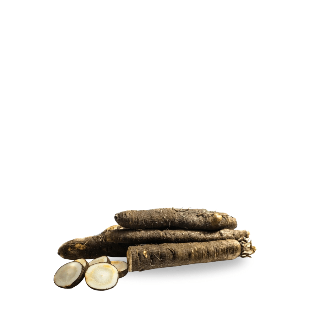Heirloom Salsify Seeds Negro - Apnaugao