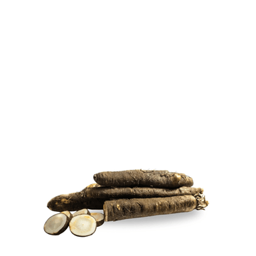Heirloom Salsify Seeds Negro - Apnaugao