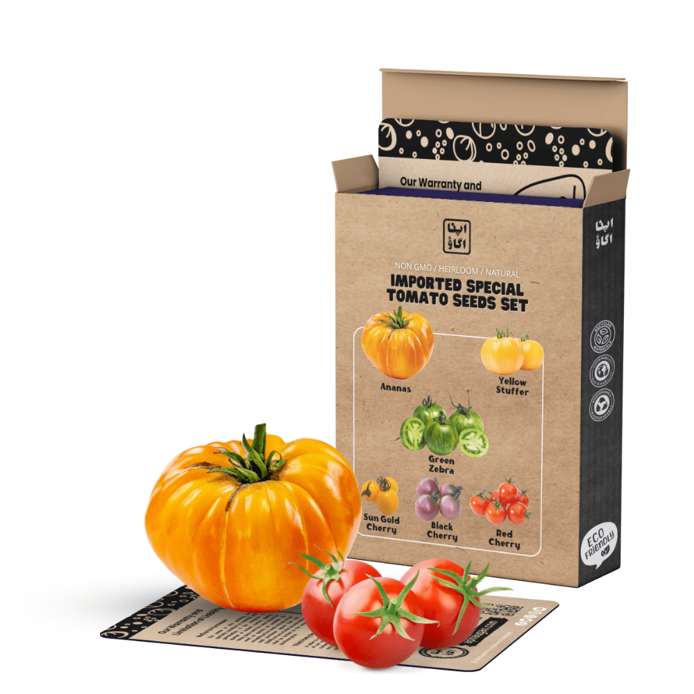 Exotic Tomato Seed Bundle – 6 Rare Varieties - Ananas, Green Zebra, Black Cherry -For Home Gardening