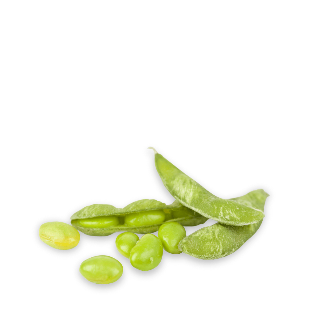 Heirloom Soyabean Seeds - Apnaugao