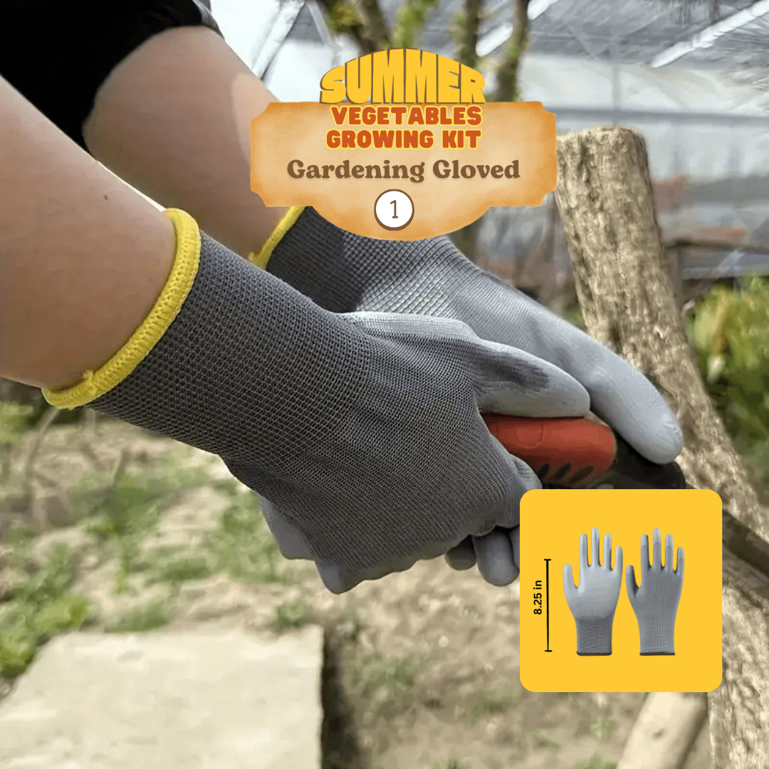 12 Summer Vegetables Home Gardening Kit. DIY Easy to grow. - Apnaugao
