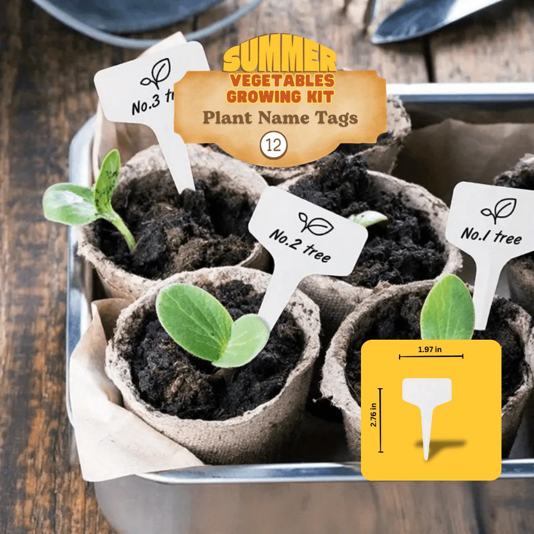 12 Summer Vegetables Home Gardening Kit. DIY Easy to grow. - Apnaugao