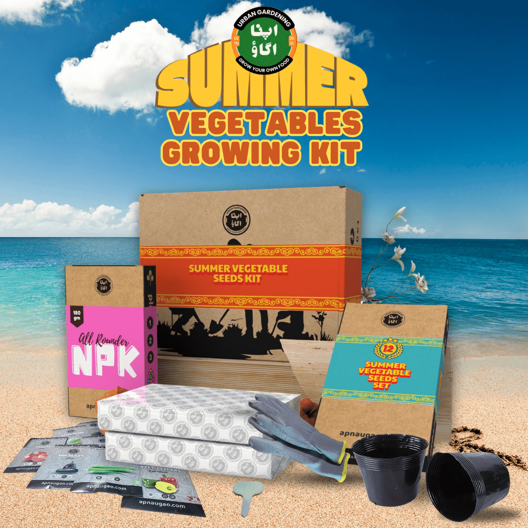 12 Summer Vegetables Home Gardening Kit. DIY Easy to grow. - Apnaugao
