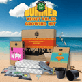 12 Summer Vegetables Home Gardening Kit. DIY Easy to grow. - Apnaugao