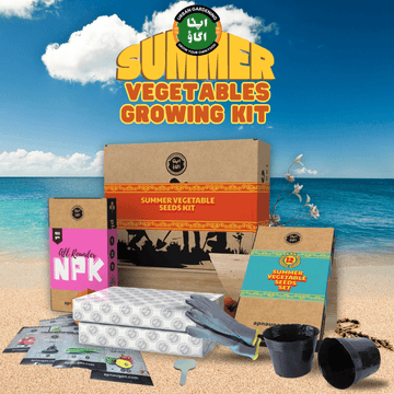 12 Summer Vegetables Home Gardening Kit. DIY Easy to grow. - Apnaugao