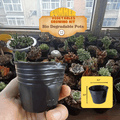 12 Summer Vegetables Home Gardening Kit. DIY Easy to grow. - Apnaugao