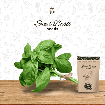grow sweet basil seeds by apnaugao in Pakistan