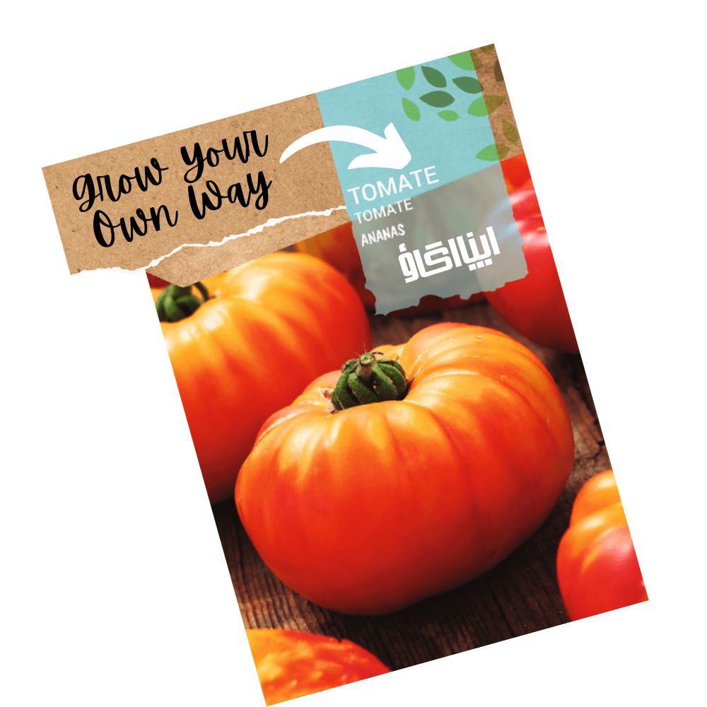 Heirloom Tomato Seeds - ANANAS - Apnaugao