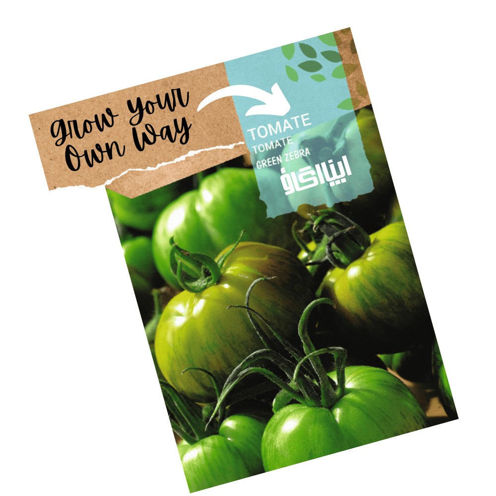Heirloom Tomato Seeds - Green Zebra - Apnaugao
