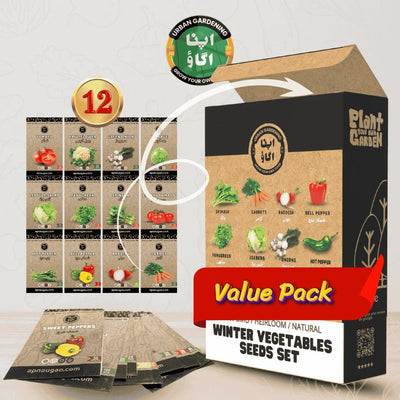 Winter Vegetable Gardening Kit GREEN BOX – 12 winter vegetable seed packets including tomato, cauliflower, spinach, lettuce, carrot and radish for Pakistan