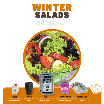 10 Salads Home Gardening Kit - DIY Easy to grow.