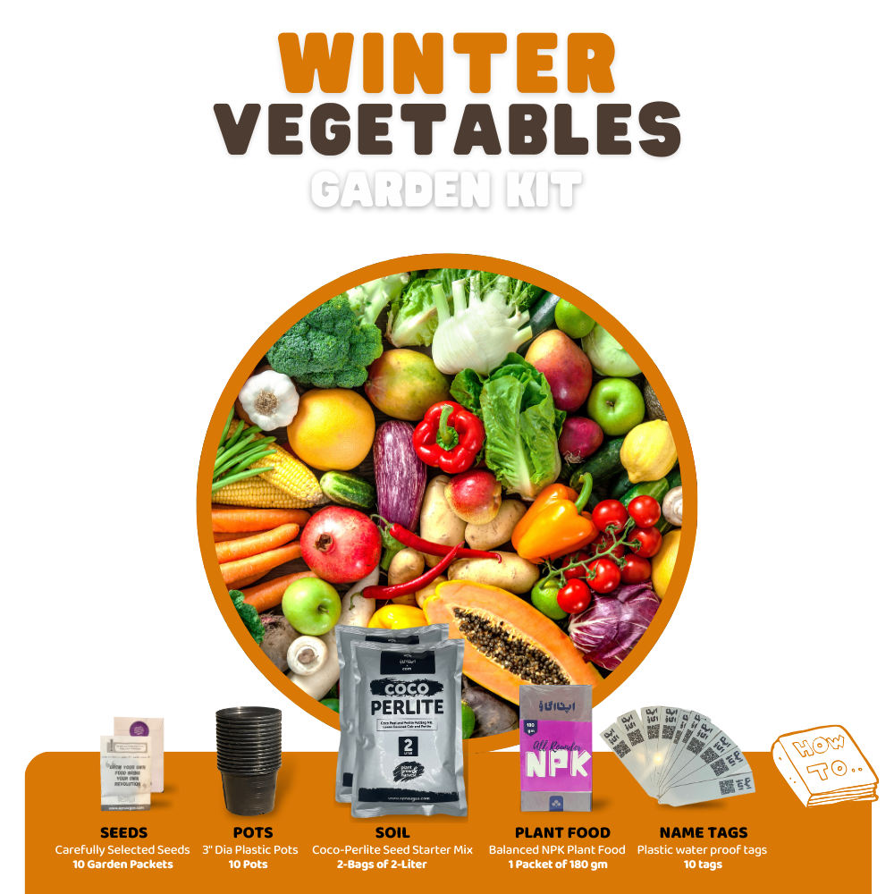 10 Winter Vegetables Home Gardening Kit. DIY Easy to grow.