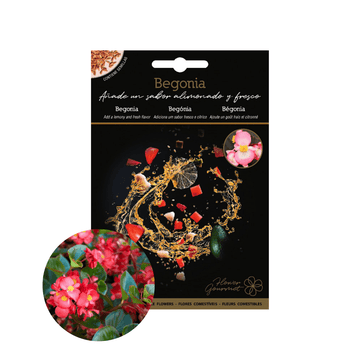 Begonia Edible Flower Seeds - Apnaugao