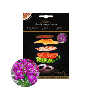 BROMPTON STOCK Edible Flower Seeds - Apnaugao