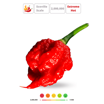 CAROLINA REAPER' Hot Chili Pepper Seeds - Apnaugao