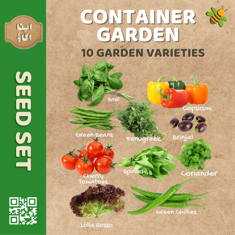 Container Garden Vegetable Seed Set - Apnaugao